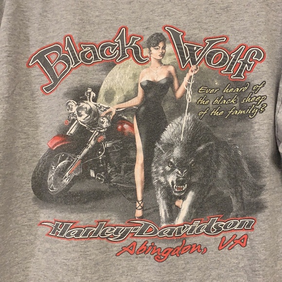 Harley-Davidson Grey "You Are What You Ride" Graphic Tee with Back Design - Picture 6 of 6